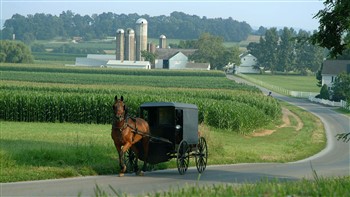Ohio Amish Tour